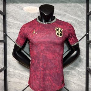 2026 USA-Mexico-Canada World Cup Brazil National Team Jordan Special Edition Soccer Jersey