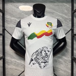 2026 USA-Mexico-Canada World Cup Benin National Team Away Soccer Jersey