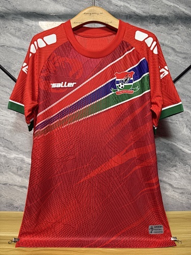 2026 FIFA World Cup Gambia Men's National Team Home Soccer Jersey - 图片 2