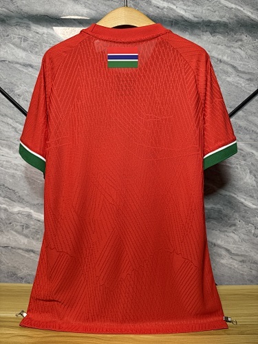 2026 FIFA World Cup Gambia Men's National Team Home Soccer Jersey - 图片 3